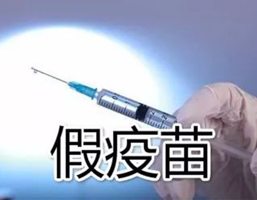 非洲豬瘟有疫苗了？假的！